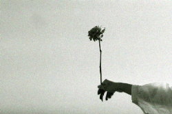「Let Me Down Easy」というLove Song_a0002814_2224562.jpg