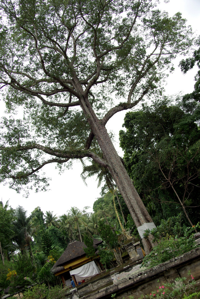 f0086721_05609.jpg