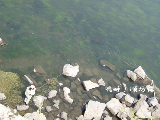 c0106128_2284032.jpg