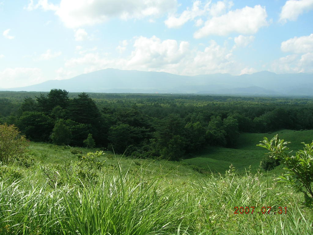 a0032232_27928.jpg
