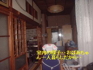 バタバタと・・・_f0031037_18201313.jpg