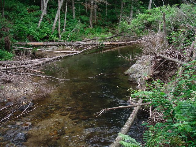 b0076950_22493.jpg