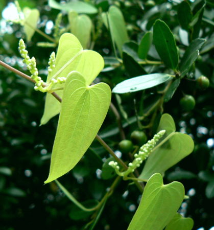 d0091754_2124057.jpg