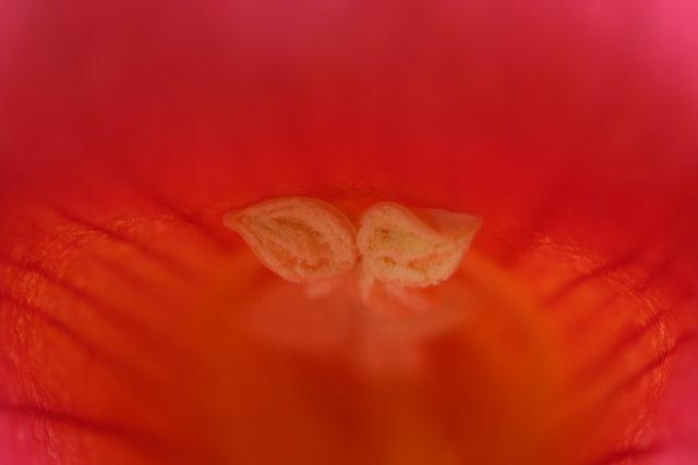 c0108863_2032494.jpg