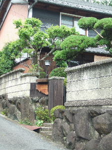 e0067563_10232014.jpg