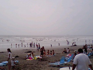 c0006870_8275892.jpg