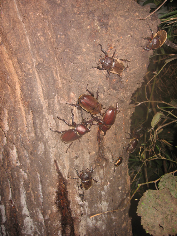 c0089974_038130.jpg