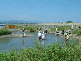 吉野川第十堰_e0053790_148640.jpg