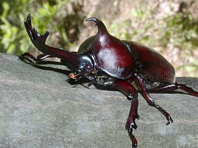c0102793_21304637.jpg