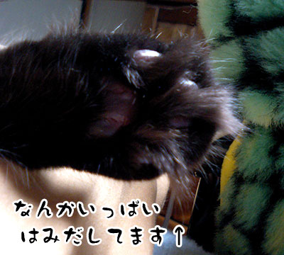 e0019594_98049.jpg