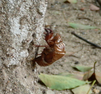 f0146198_2171094.jpg