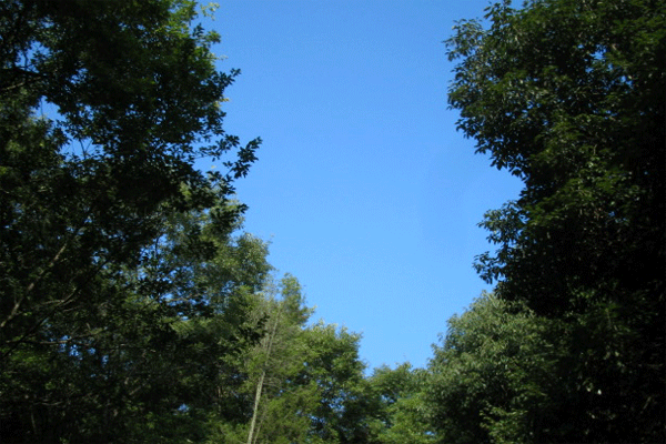 b0108100_2213932.gif