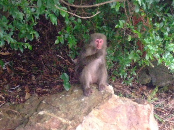 d0024504_23114456.jpg