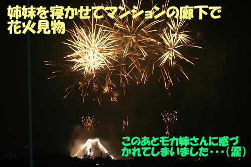 来年は皆と一緒に花火見物を！_f0121712_1530774.jpg