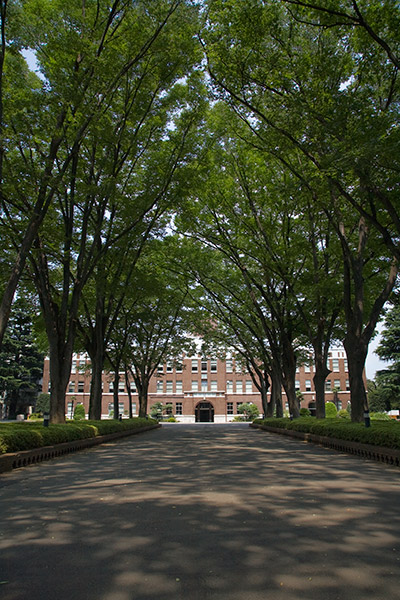 f0077521_22535846.jpg