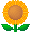 b0080033_17445319.gif