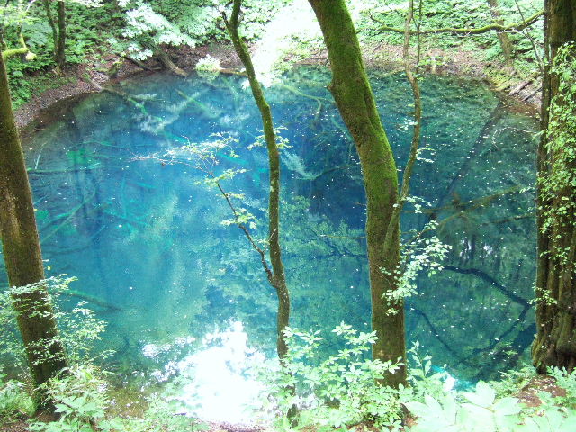 十二湖 青池と沸壺の池 気まぐれ 写真館 十二湖 青池と沸壺の池 気まぐれ 写真館