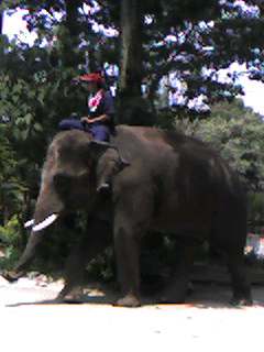 f0124642_9574437.jpg