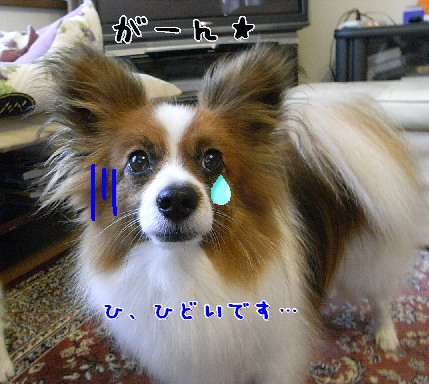 d0013149_1591593.jpg