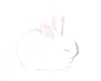 うさぎイラスト 小さいイラスト 青色うさぎ うさぎイラスト 小さいイラスト 青色うさぎ