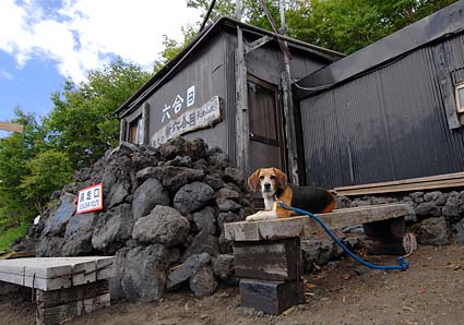 富士山のハナちゃん　その２_a0070350_20294875.jpg