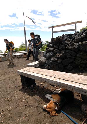 富士山のハナちゃん　その２_a0070350_2033311.jpg