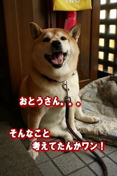 あり得ない願望?_c0049950_1944172.jpg