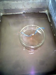 d0042851_8565873.jpg