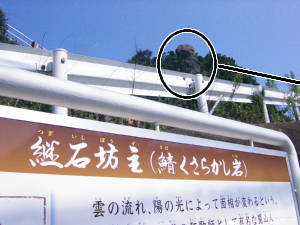 e0033751_2241443.jpg