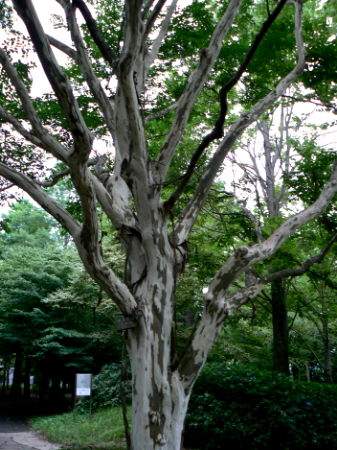 d0091754_0273149.jpg