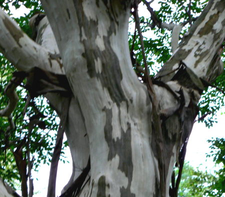 d0091754_028066.jpg