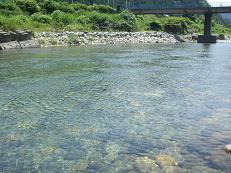 f0065556_0321774.jpg