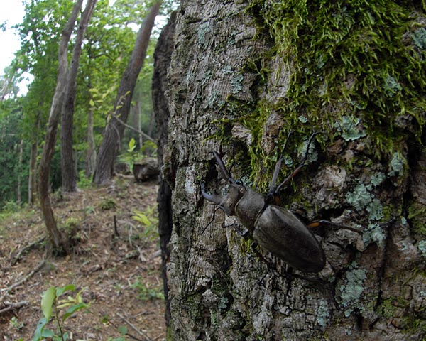 e0035757_2271065.jpg