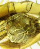 a0016459_2111497.gif