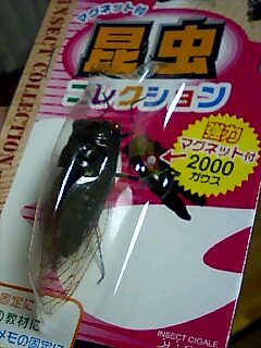 虫ルアー_a0040876_2373331.jpg