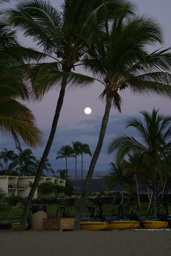 hawaii - big island2 _a0091891_701734.jpg