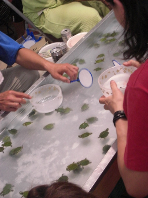 c0106491_16322490.jpg