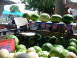 e0123596_75585.jpg
