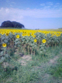 f0144003_23545357.jpg