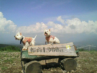 今年は２人で♪_f0039907_1753534.jpg