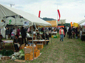 b0119617_16492169.gif