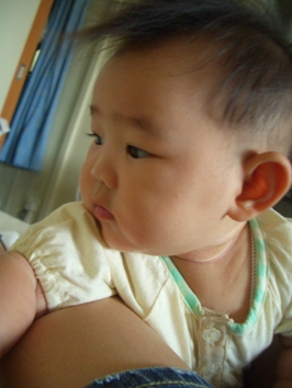 e0119618_1221574.jpg
