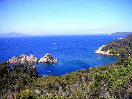 グラン・ブルーの島_d0062721_533141.jpg