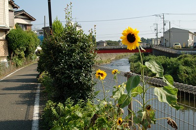 c0128722_21593031.jpg