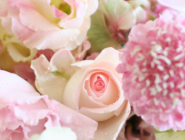 シェ松尾天王洲倶楽部さまの装花　夏のピンク_a0042928_2394454.jpg