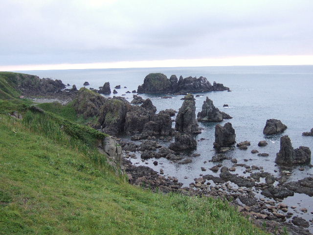 e0064133_23953100.jpg