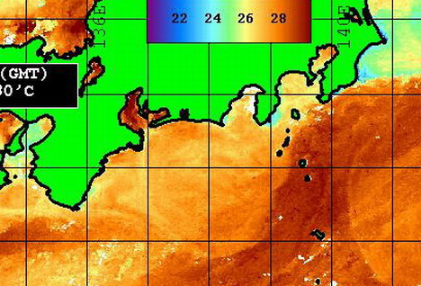 野島沖　潮岬　すさみ・・・[カジキ・マグロトローリング]_f0009039_10262183.jpg