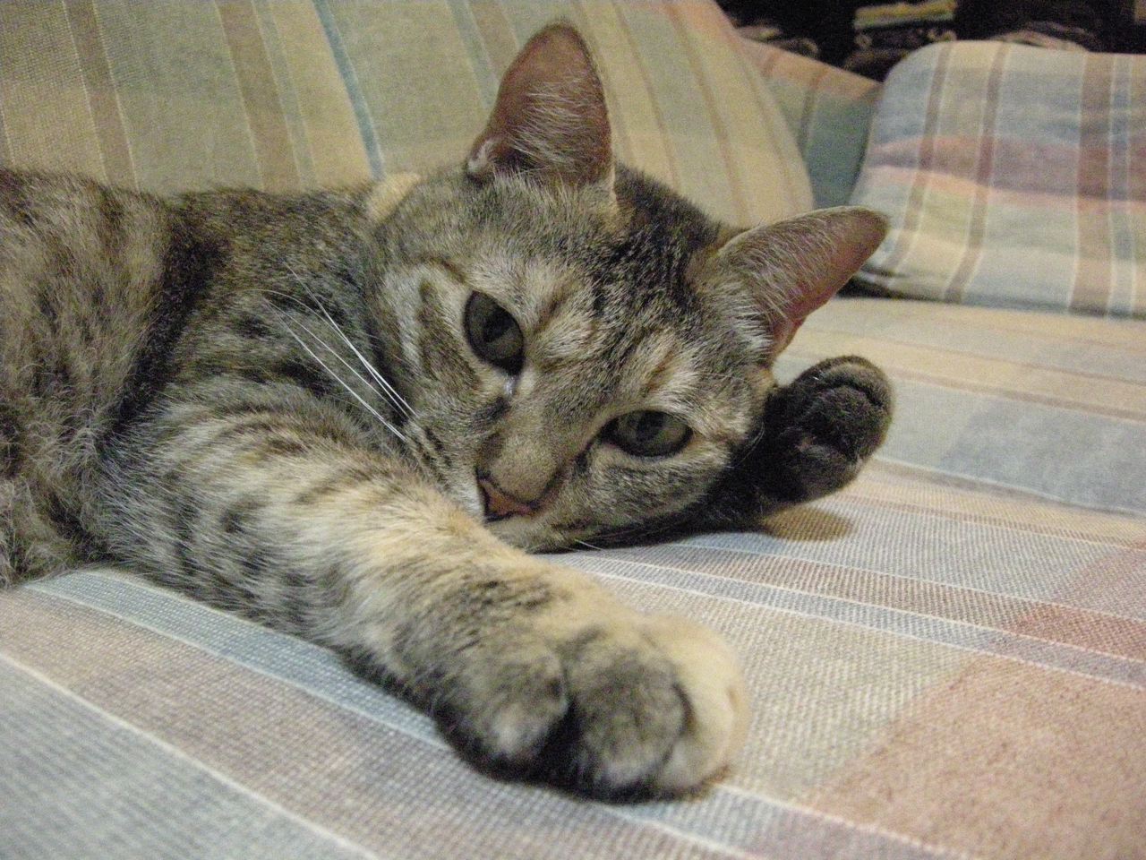 d0030244_1434132.jpg
