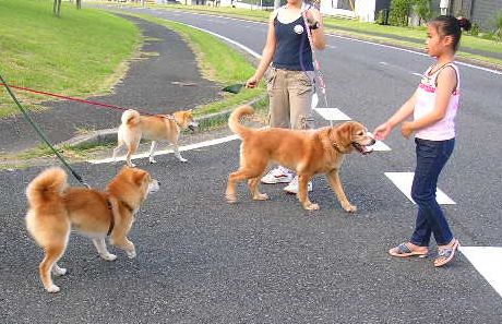 2007年8月6日(月)・・・朝から30度で暑いのよ~!_f0060461_8295126.jpg