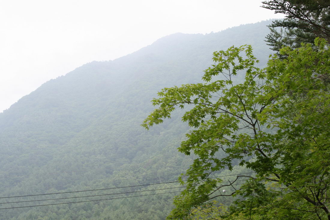 c0084268_8173695.jpg